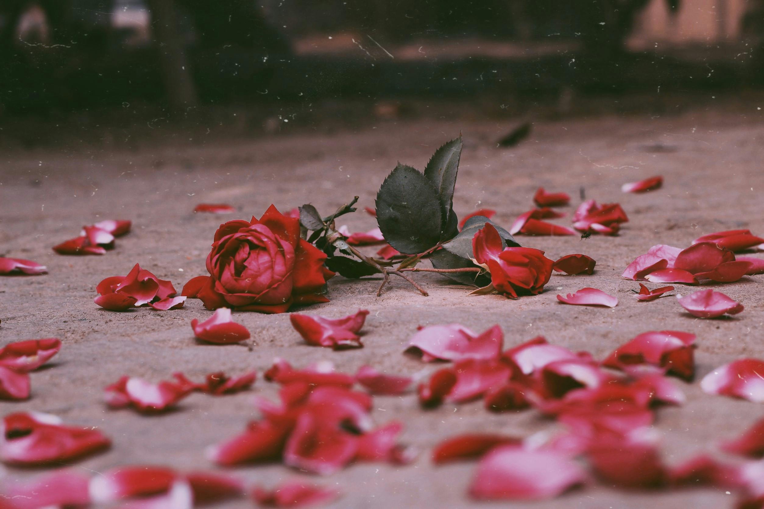 Las flores