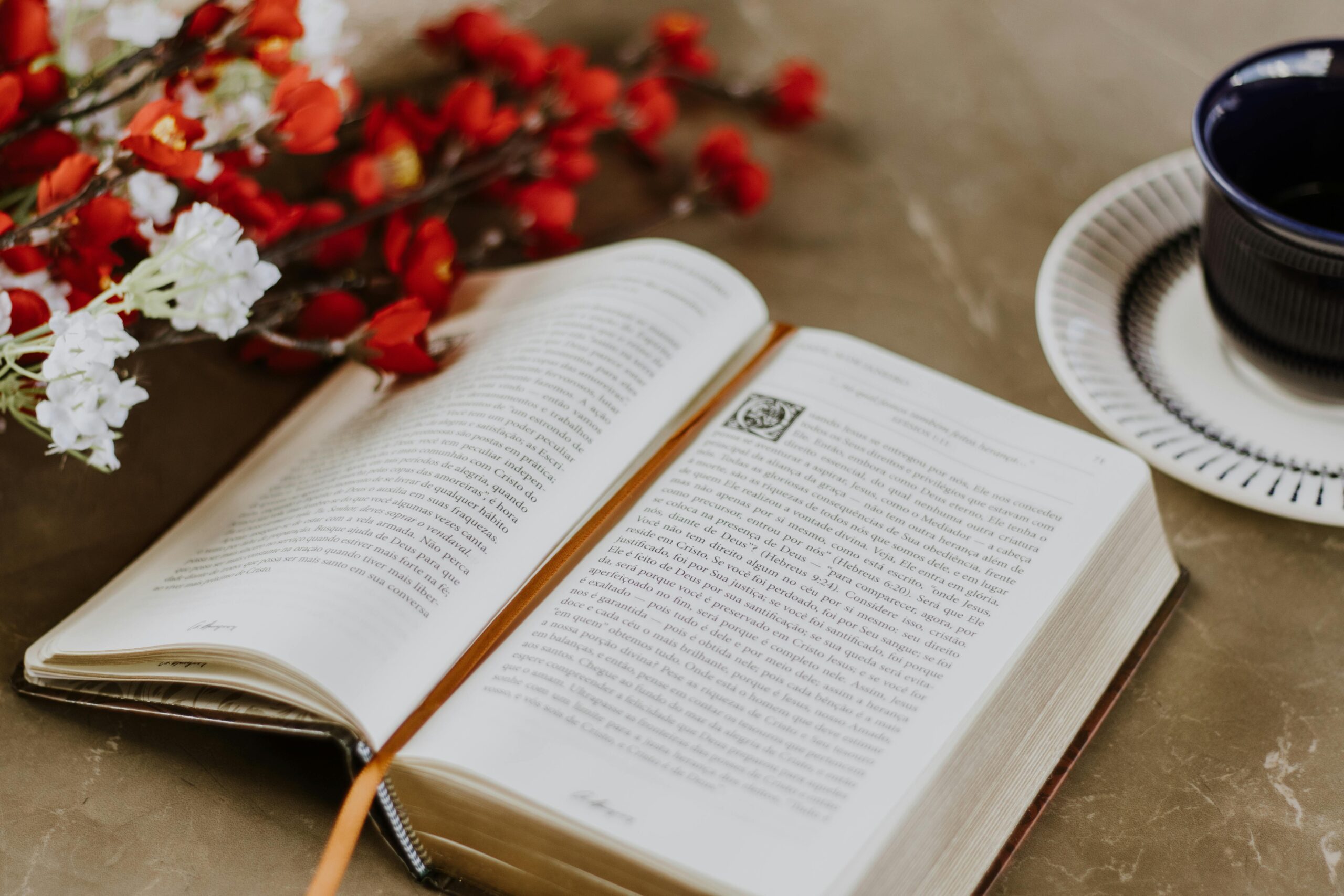 ¿Cómo escribo mis textos?